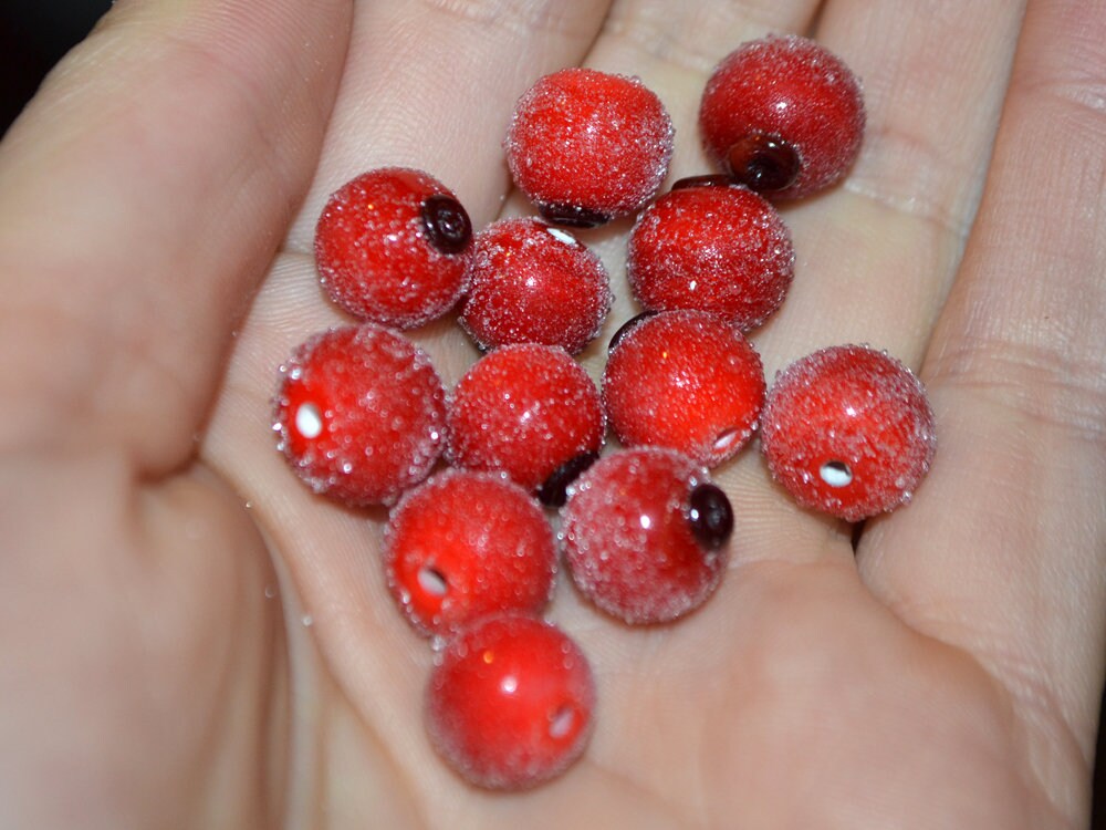 Red currant glass beads, Frost glass berries, Lampwork berry, Lampwork currant, Glass Redcurrant, half drill