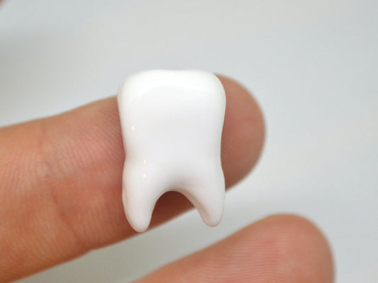 Glass tooth beads, Horizontal hole, Dentist gift, Human Teeth beads, Dentist beads funny, Handmade beads, Teeth jewelry, Teeth necklace