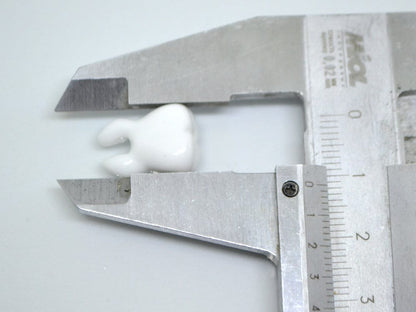 Glass tooth beads - Dentist gift- Teeth beads - Dentist beads funny - Halloween beads, Artisan lampwork, Handmade beads Teeth jewelry Human