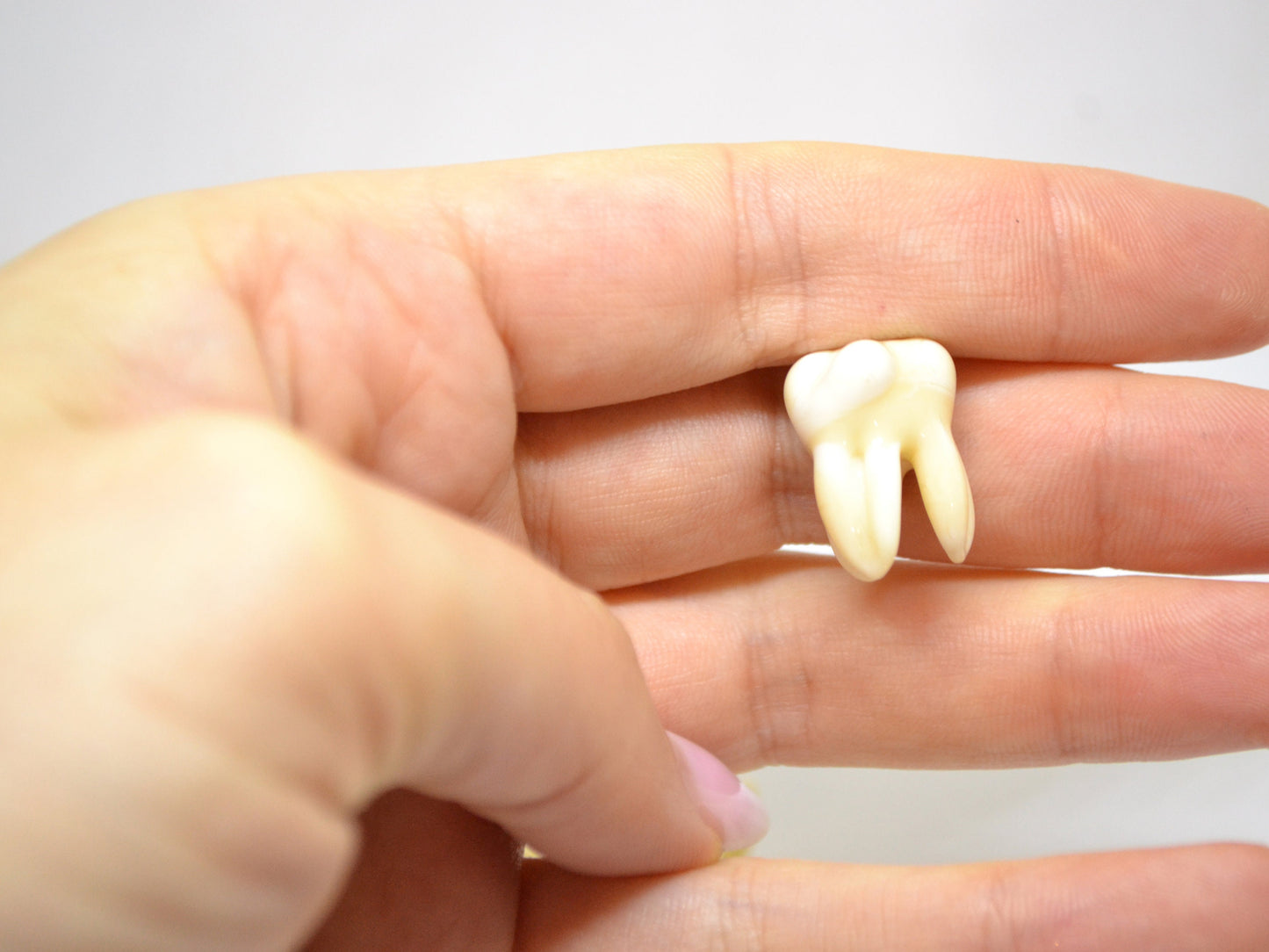 Glass Root tooth beads, Molar beads, Dentist gift prank, Teeth beads with 3 roots, Handmade beads, Teeth jewelry, Teeth earrings, Lampwork