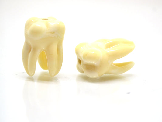 Glass Root tooth beads, Molar beads, Dentist gift prank, Teeth beads with 3 roots, Handmade beads, Teeth jewelry, Teeth earrings, Lampwork